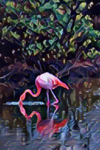FLAMENCO PIO NOONO