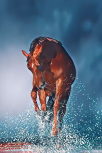 DavidTorrentArt + 500 toiles uniques ou NFT ⭐️ ‍  Art vivant et art réel